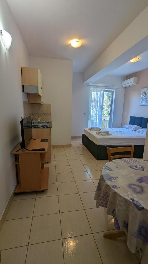 Apartments Vesna Gradac  Værelse billede